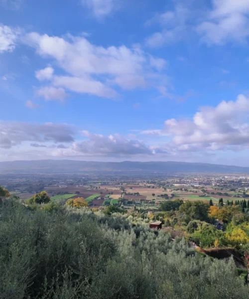 ASSISI (2) ASSISI (2)