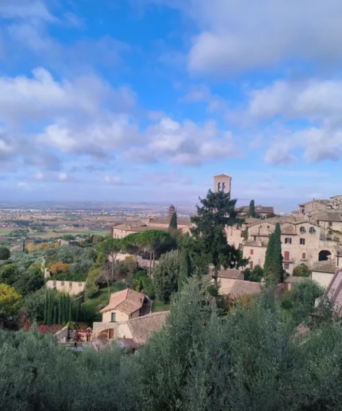 ASSISI (3) ASSISI (3)